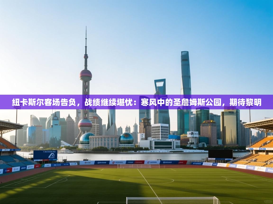 纽卡斯尔客场告负,战绩继续堪忧:寒风中的圣詹姆斯公园,期待黎明 第2张